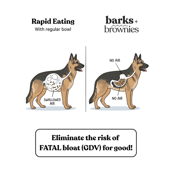 BARKS & BROWNIES Origami Slow Feeder