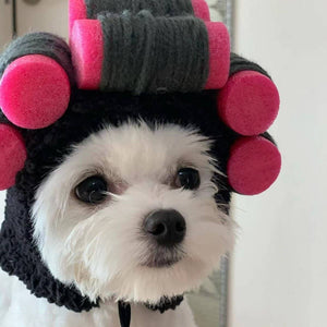 CHEERHUNTING Curlers Cat Hat