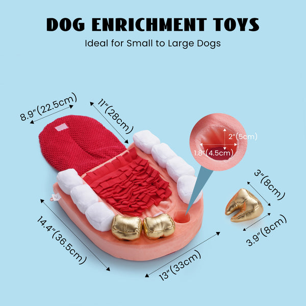 NOCCIOLA Interactive Teeth Dog Toy