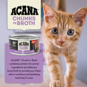 ACANA Cat Grain Free Chunks In Broth Chicken And Salmon Kitten Case  12 PACK/3OZ