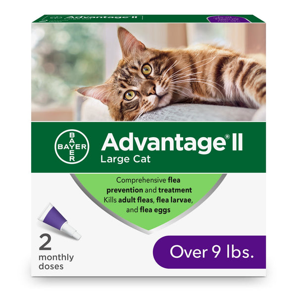 ADVANTAGE II Flea Spot Treatment for Cats 2pk