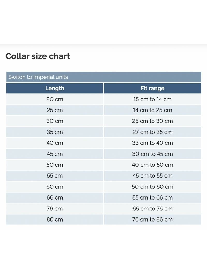 FISH & BONE Stitched Leather Collar Burgundy