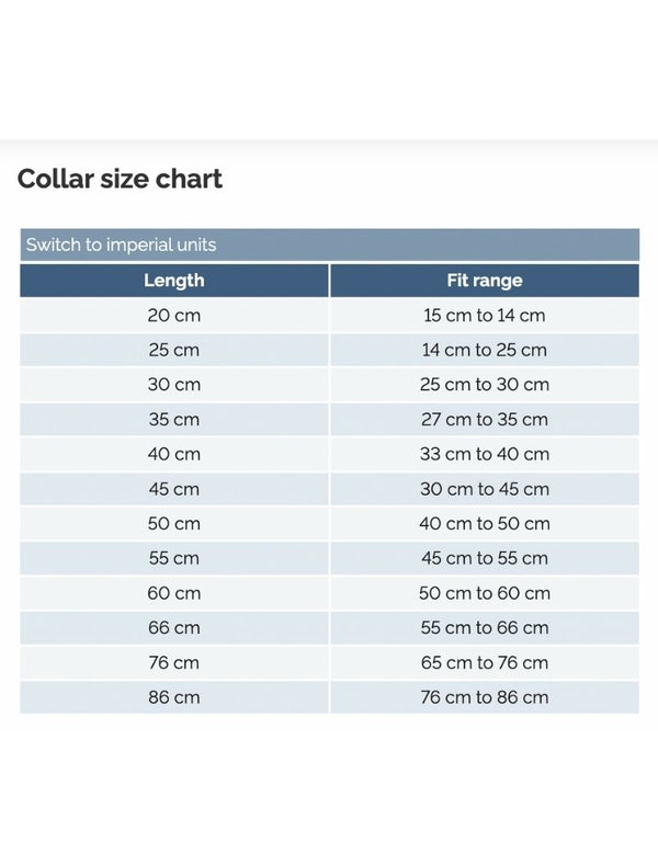 FISH & BONE Stitched Leather Collar Burgundy