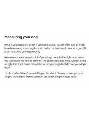 FISH & BONE Stitched Leather Collar Tan