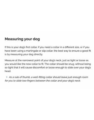 FISH & BONE Stitched Leather Collar Burgundy