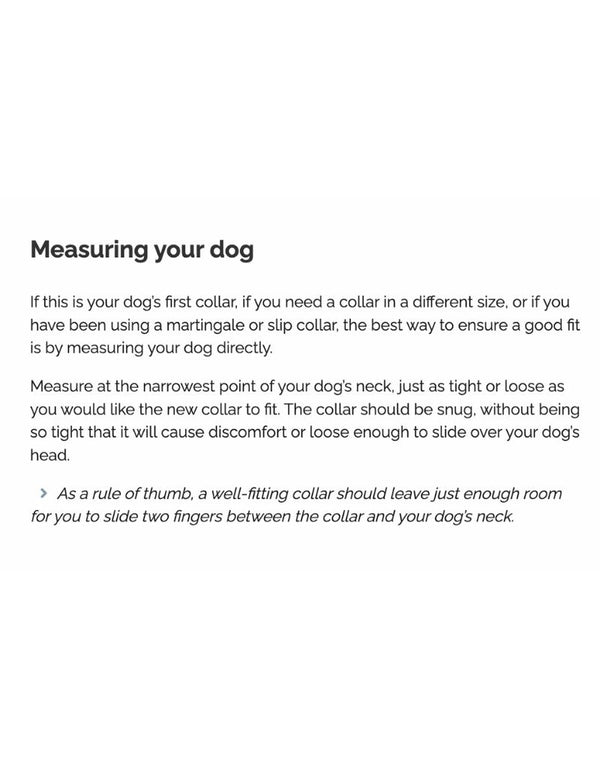 FISH & BONE Stitched Leather Collar Black