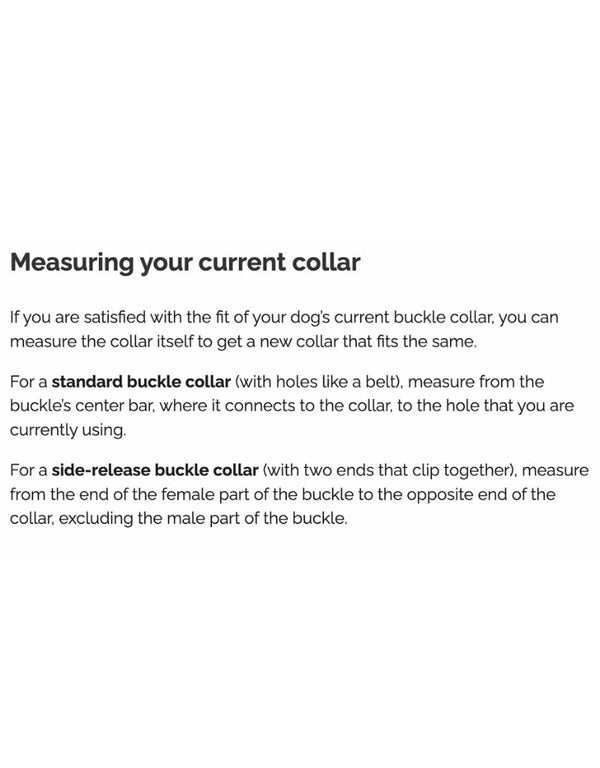 FISH & BONE Stitched Leather Collar Black