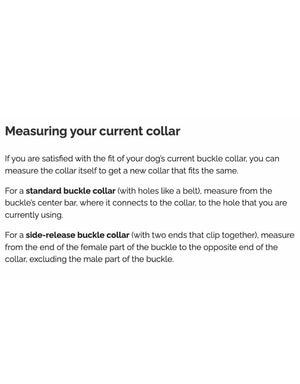 FISH & BONE Stitched Leather Collar Burgundy