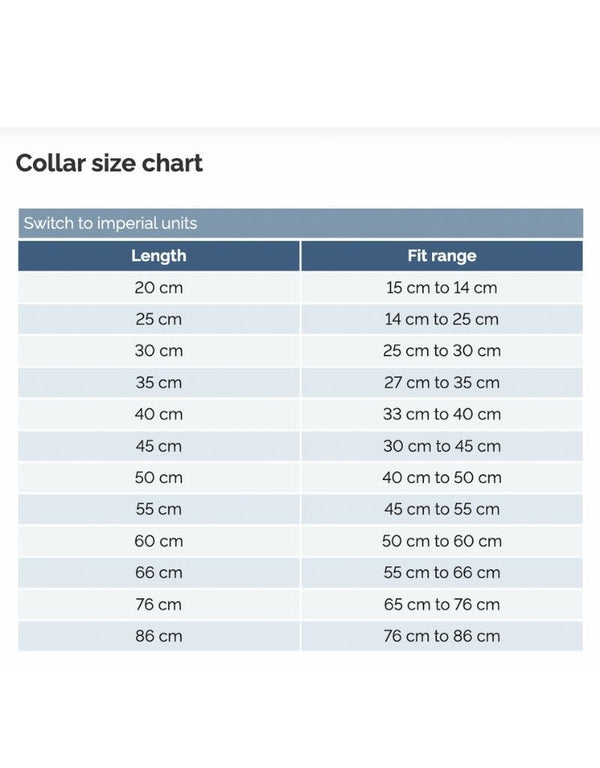 FISH & BONE Stitched Leather Collar Burgundy