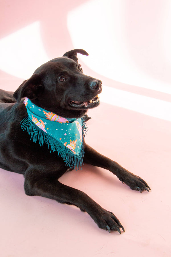 VELVET OUTPAW Space Cowboys Teal Fringe Bandana