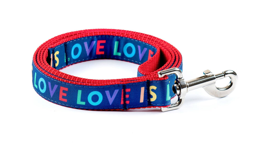 PAW PAWS USA Dog Leash Love is Love