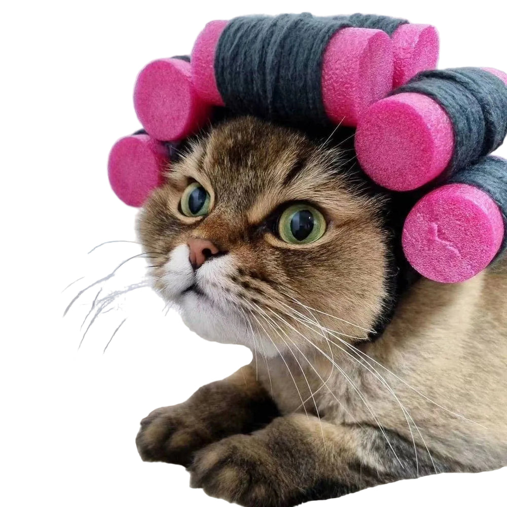 CHEERHUNTING Curlers Cat Hat