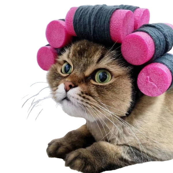 CHEERHUNTING Curlers Cat Hat