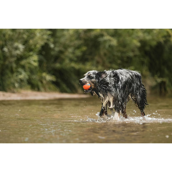 CHUCKIT Ultra Squeaker Ball 2pk.