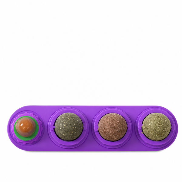 PAWFECT Catnip Roller Ball Toy