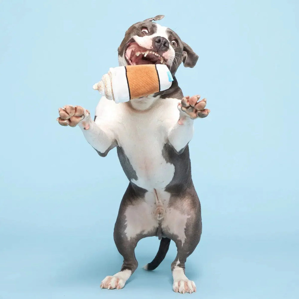 BARK Cup Of Bark Roast Coffee Plush Dog Toy