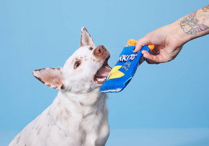BARK Drool Ranch Chips Mulitcolor Chips Plush Dog Toy