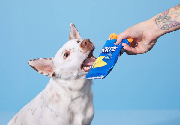 BARK Drool Ranch Chips Mulitcolor Chips Plush Dog Toy