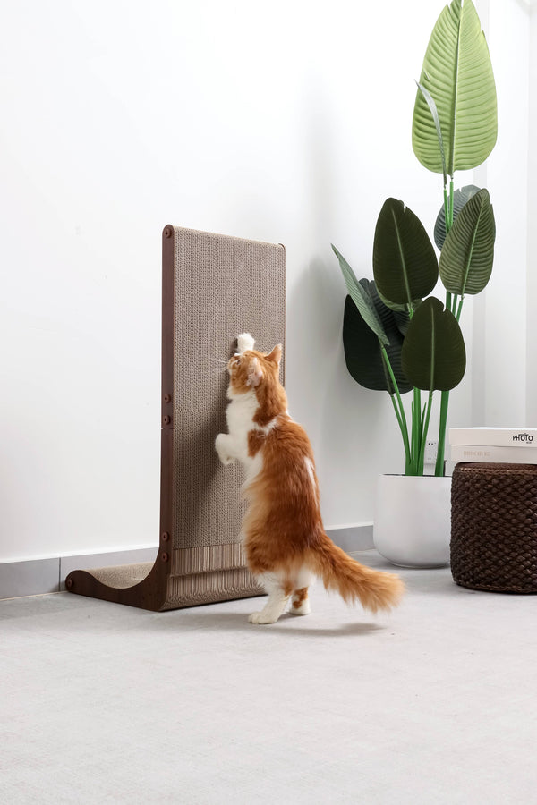 NECOICHI Wall Scratcher