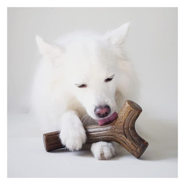 BENEBONE Medium 2 Pack Maple Stick & Bacon Zaggler