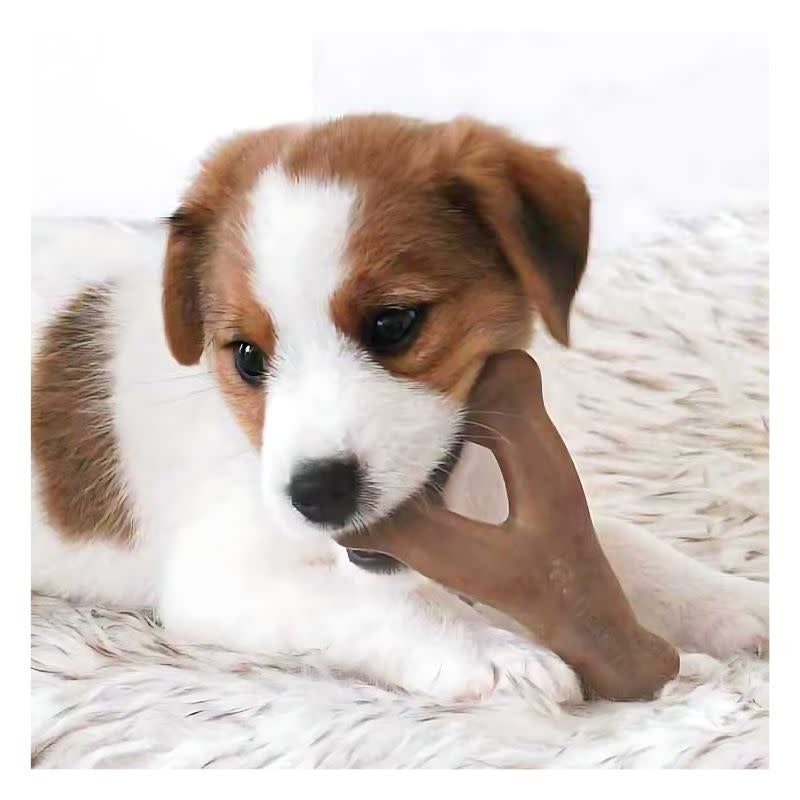 BENEBONE Bacon Wishbone Dog Chew Puppy
