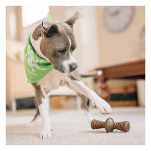 BENEBONE Bacon Zaggler Dog Chew