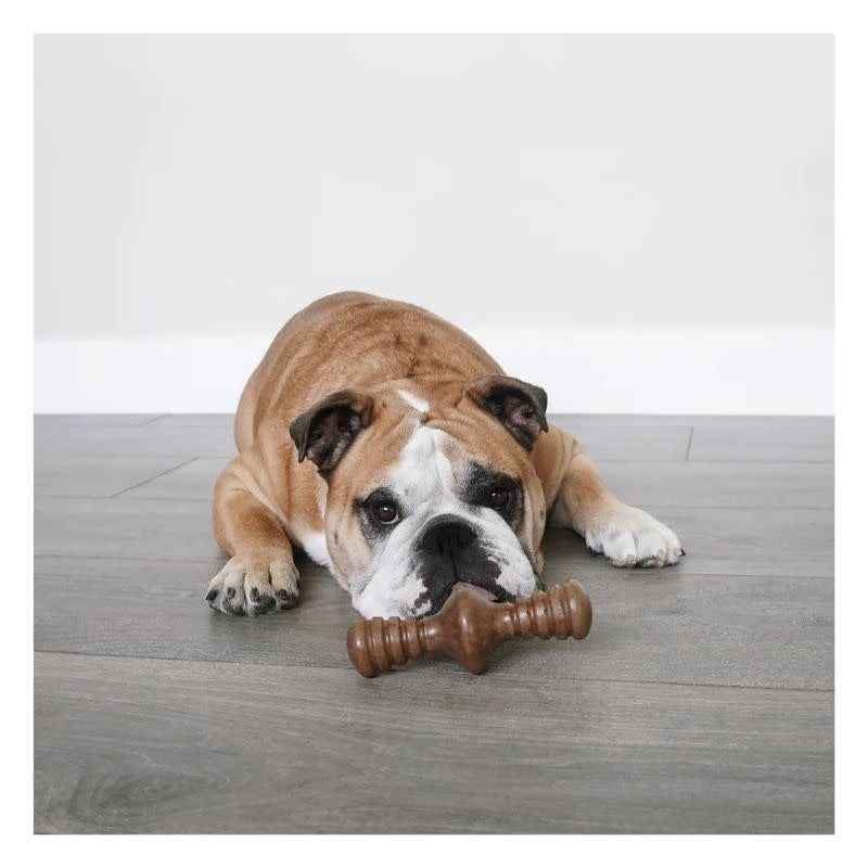 BENEBONE Bacon Zaggler Dog Chew