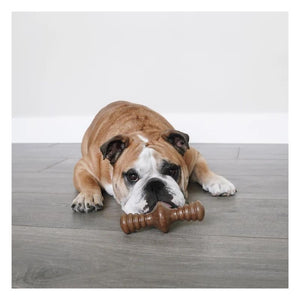 BENEBONE Bacon Zaggler Dog Chew