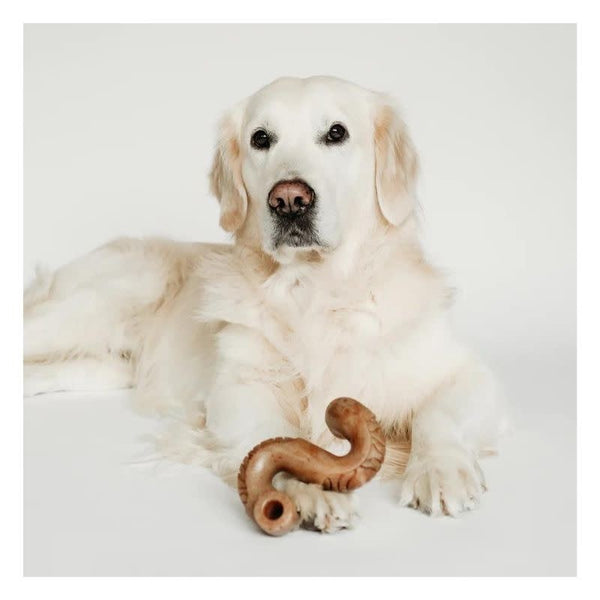 BENEBONE Beef Tripe Dog Chew