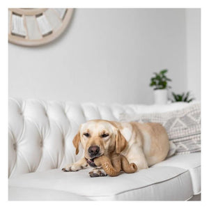 BENEBONE Beef Tripe Dog Chew