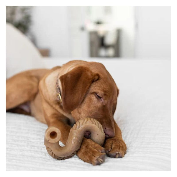 BENEBONE Beef Tripe Dog Chew