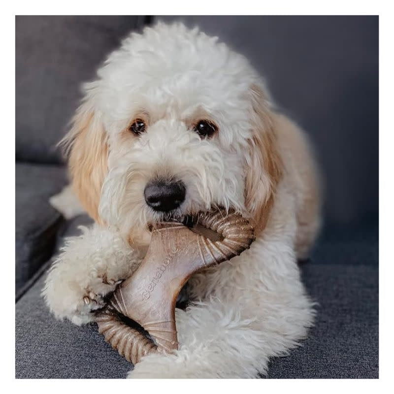 BENEBONE Medium Bacon 2 Pack Wishbone & Dental