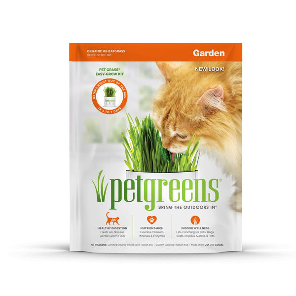PET GREENS Self-Grow Cat Grass Kit Organic Wheat Grass