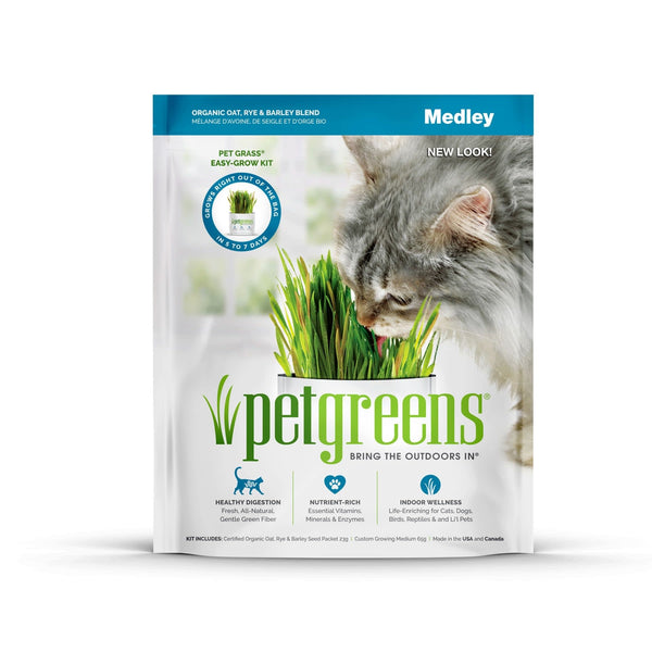 PET GREENS Self-Grow Cat Grass Kit Organic Oat, Rye & Barley Medley