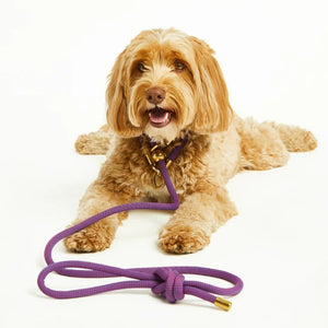 BUBBLE & SPIKE Berry Confetti Simple Slip Lead