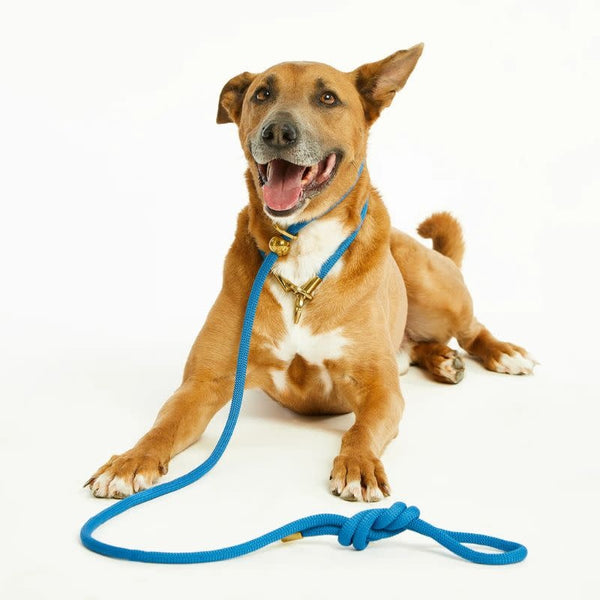 BUBBLE & SPIKE Blue Sapphire Simple Slip Lead