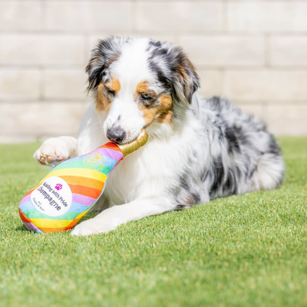 HUXLEY & KENT Bubbling with Pride Champagne Dog Toy