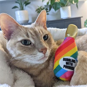 KITTYBELLES Prrride Champagne Plush Cat Toy