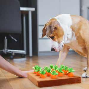 NOCCIOLA Carrot Path Enrichment Dog Toy