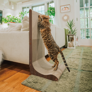 NECOICHI Wall Scratcher