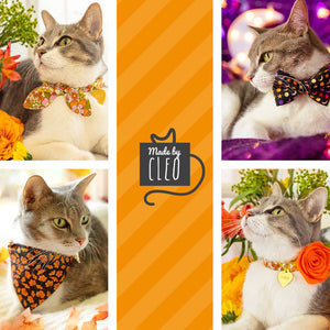 MADE BY CELO Roasted Pumpkin Burnt Orange Velvet Collar
