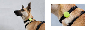 ZEE.DOG  AirTag Holder Lime