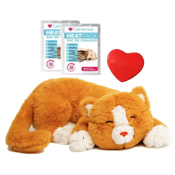 CALMEROOS Kitten - Orange