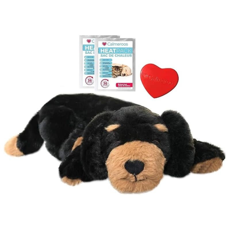 CALMEROOS Puppy - Black & Brown