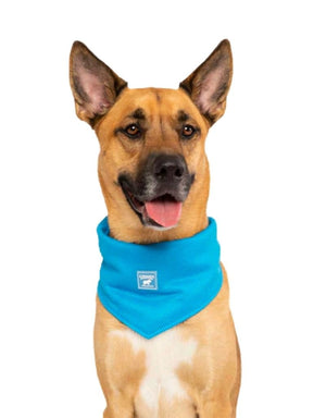 CANADA  POOCH Chill Seeker Cooling Bandana Blue