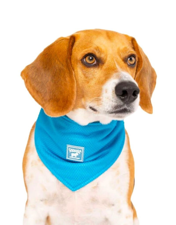 CANADA  POOCH Chill Seeker Cooling Bandana Blue