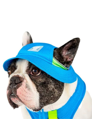CANADA  POOCH Chill Seeker Cooling Hat Blue
