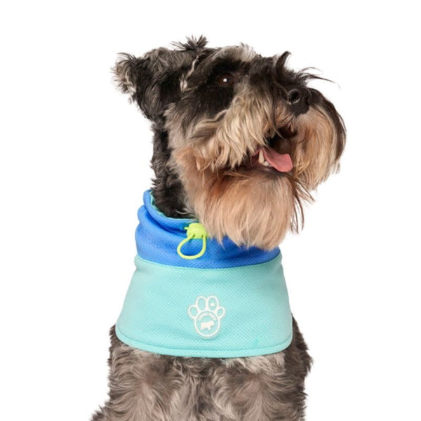CANADA POOCH Max Chill Cooling Snood Blue