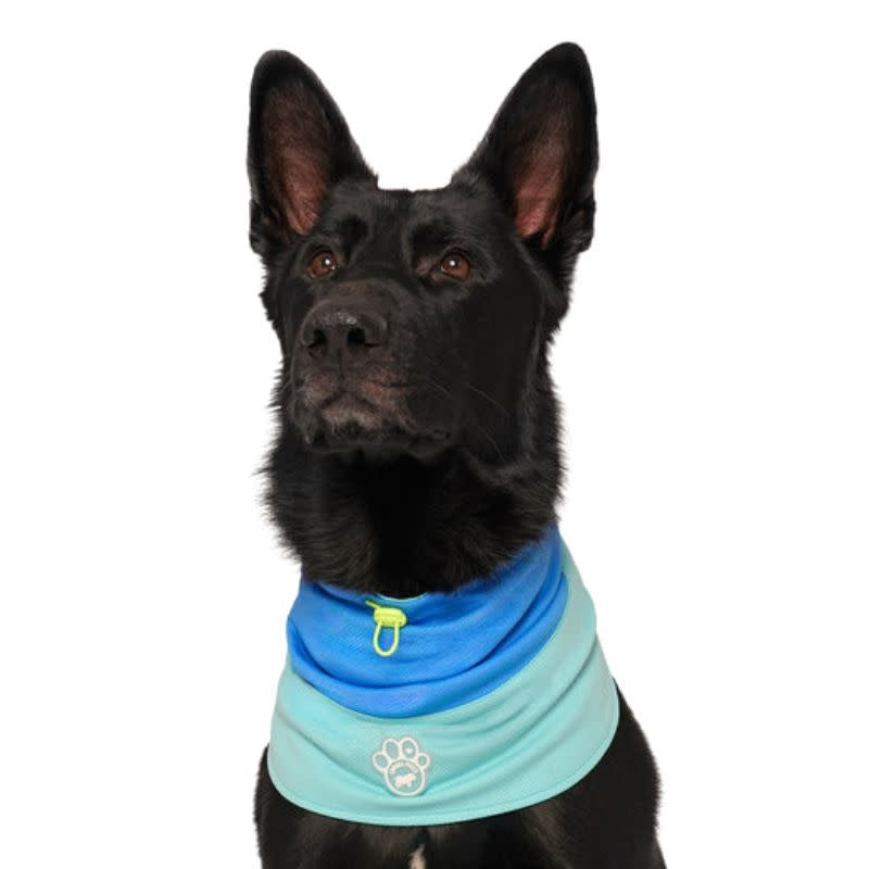 CANADA POOCH Max Chill Cooling Snood Blue