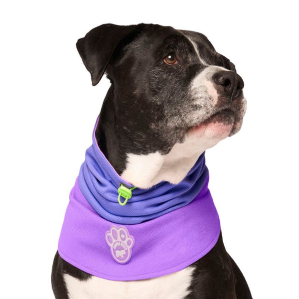 CANADA POOCH Max Chill Cooling Snood Purple